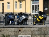 IMG_1271.jpg