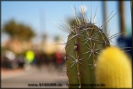 BMW_Testcamp_Almeria_2012_racepixx_161.jpg