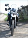 michaelbense_Triumph_Tiger_800_XC_056.jpg